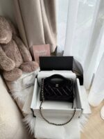 Chanel 25P Nano 31bag - Image 4