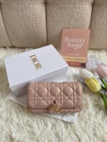 Lady dior woc手机包珠光粉