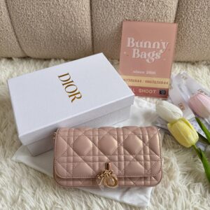 Lady dior woc手机包珠光粉