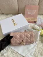 Lady dior woc手机包珠光粉 - Image 5