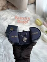 HARRY WINSTON LOOP项链