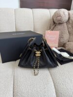 Chanel25Bag Hobo Mini