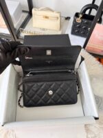 Chanel woc 牛皮银扣 - Image 2